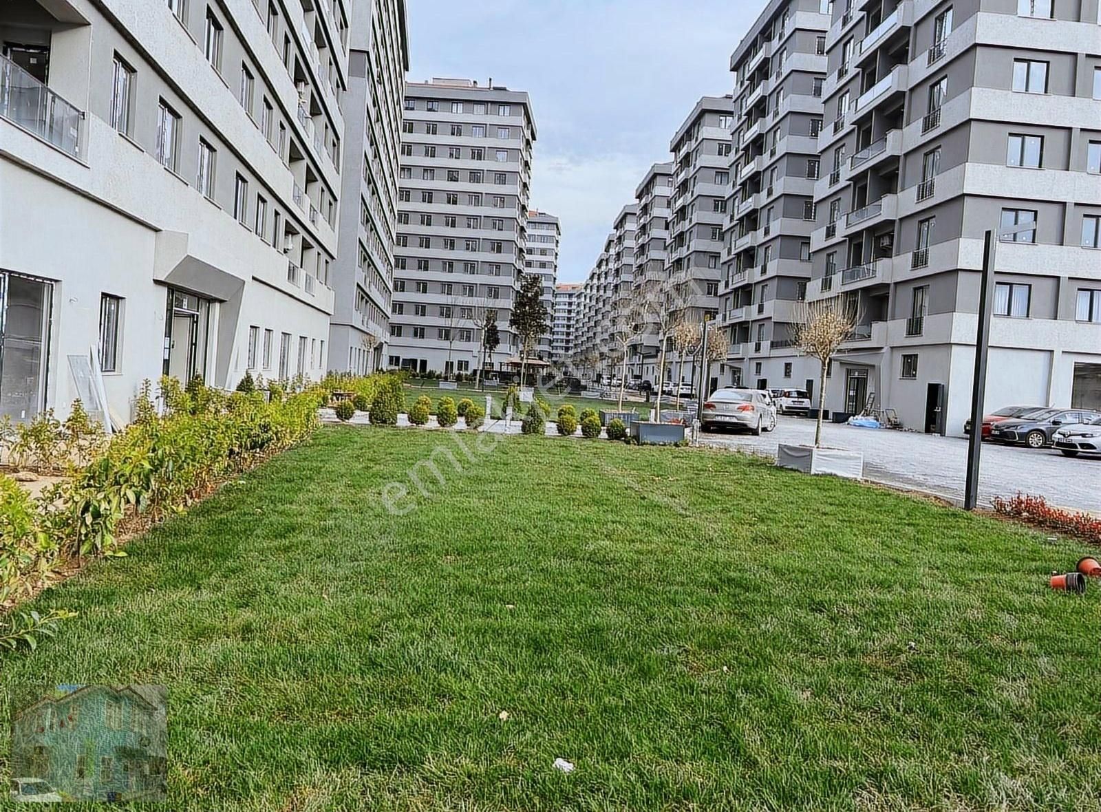 Tuzla Şehriyaz Beşevlerde 1+1 Kiralık Fırsat Daire