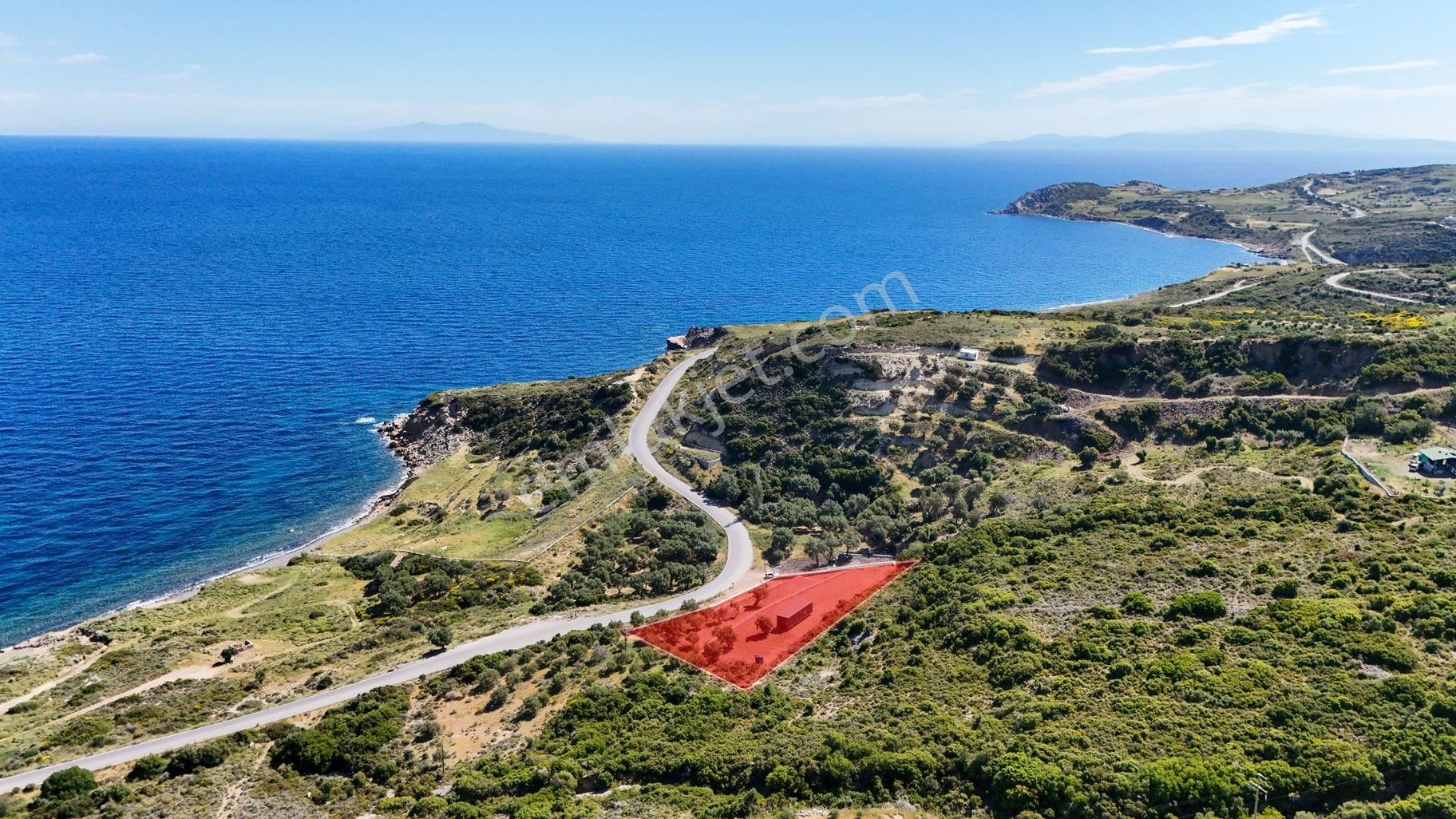 Karaburun Tepebozda Panoramik Manzaralı Tarla - Görsel 16