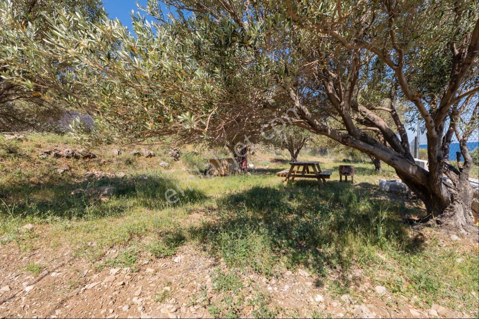 Karaburun Tepebozda Panoramik Manzaralı Tarla - Görsel 21