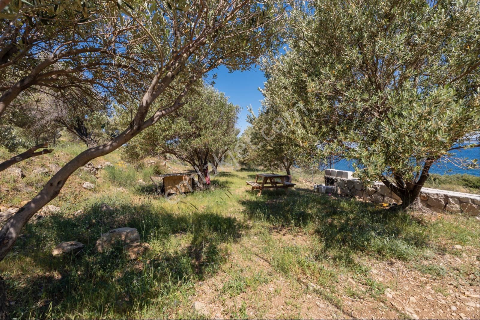 Karaburun Tepebozda Panoramik Manzaralı Tarla - Görsel 27