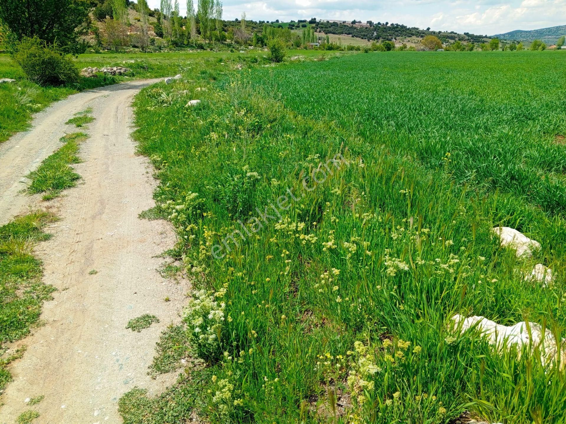 Akdeniz Emlakta Y.zorlar Mh.satılık Tarla - Görsel 19