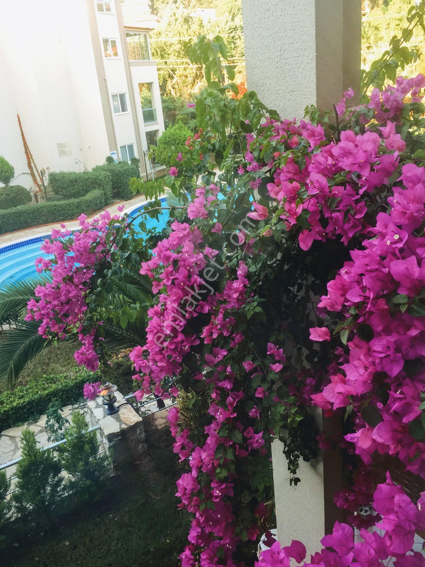 Marmaris Armutalan’da Doğa Manzaralı Eşyalı 2+1 Dubleks – Aylık & Sezonluk Kiralık - Görsel 20