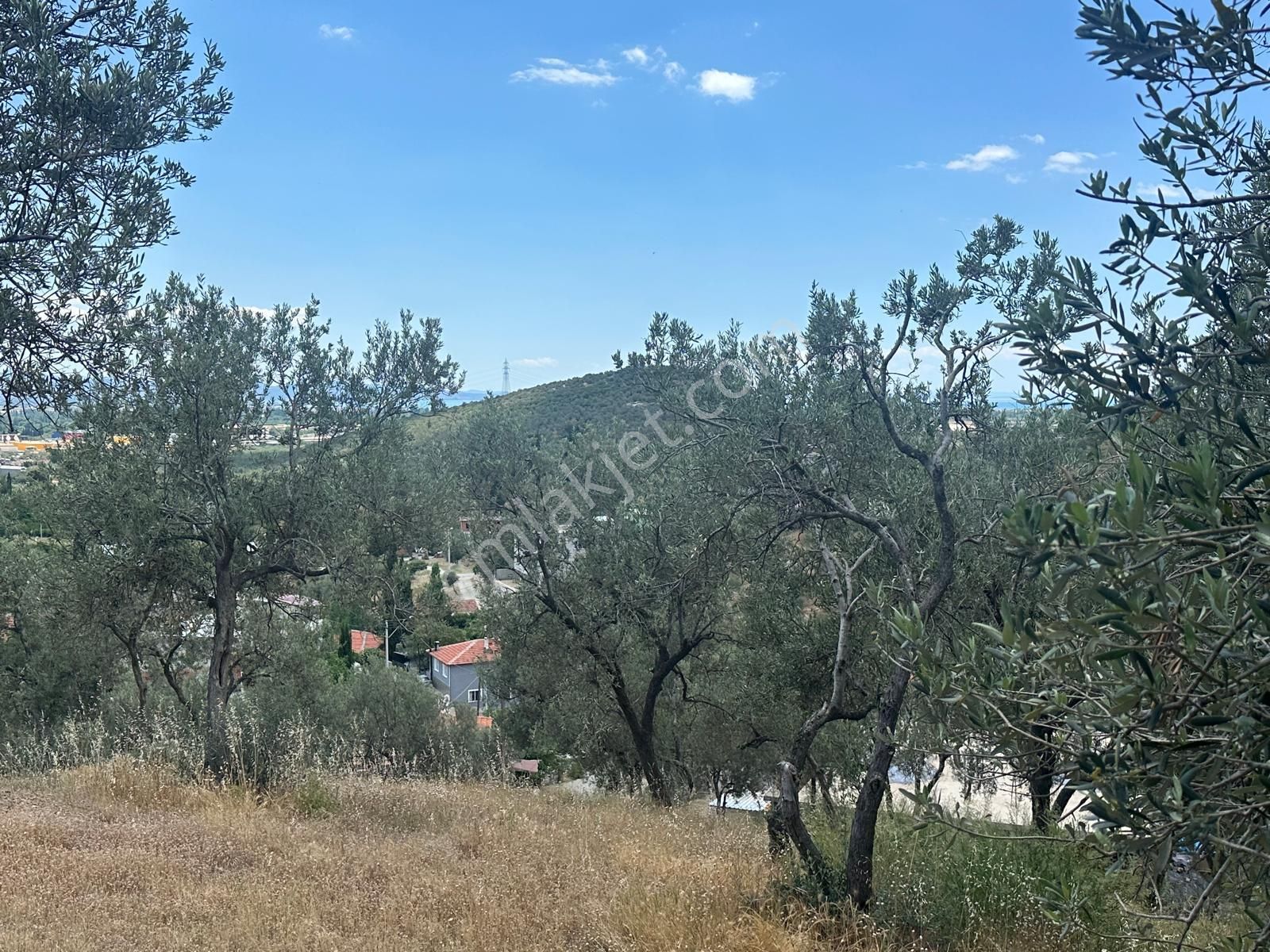 Edremit Yolörende İmara Çok Yakın Satılık Zeytinlik - Görsel 14