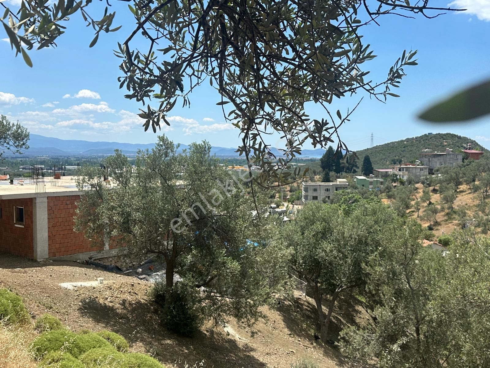 Edremit Yolörende İmara Çok Yakın Satılık Zeytinlik - Görsel 5