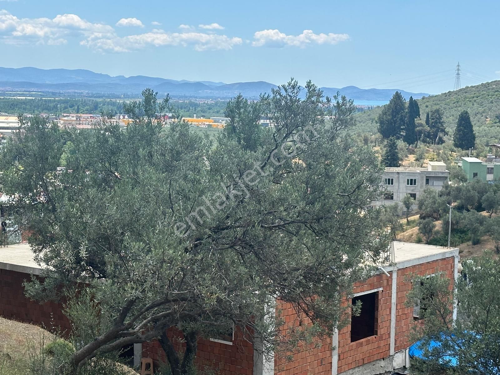Edremit Yolörende İmara Çok Yakın Satılık Zeytinlik - Görsel 21