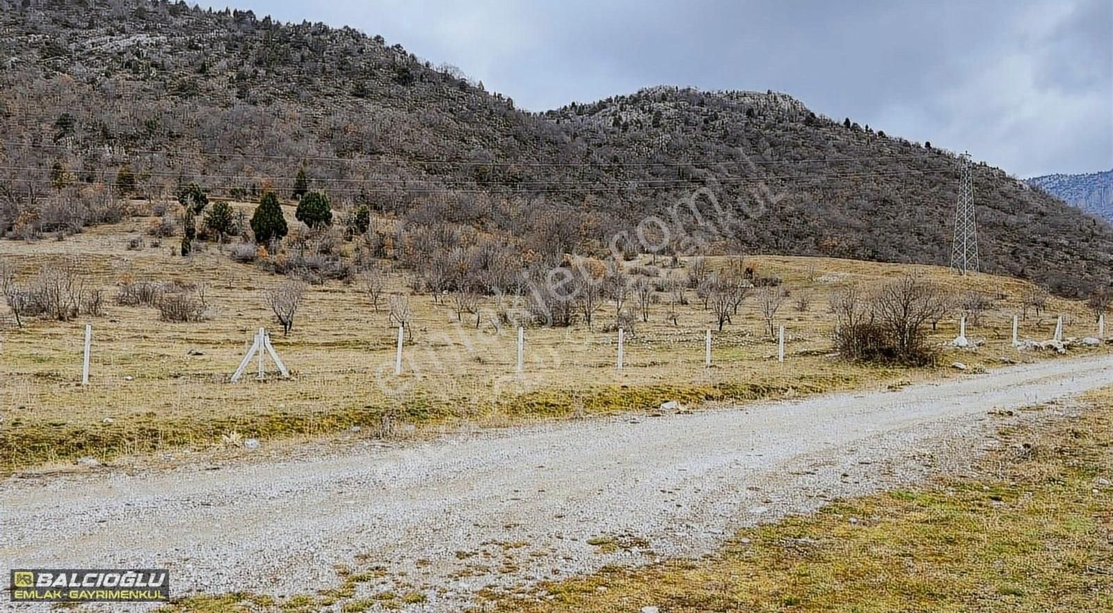 Balcıoğlu Gayrimenkulden Taşağıl Da Kurulu Bahçe Evi 2 Parsel - Görsel 10