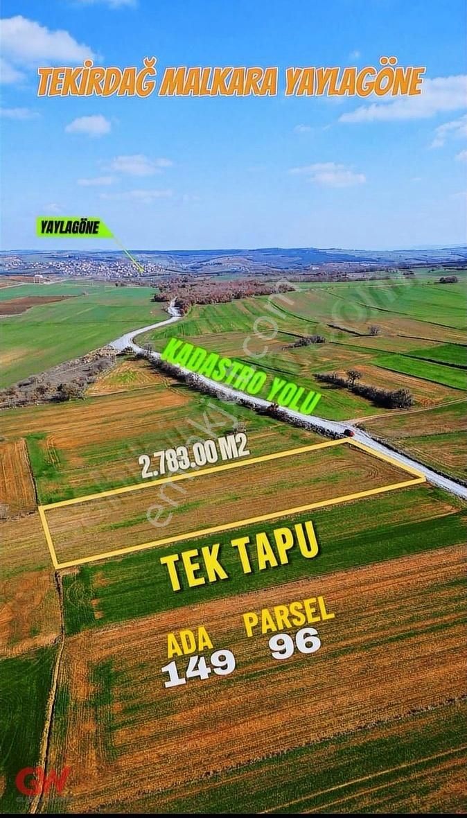 Tekirdağ Malkara Yaylagöne Kadastral Yola Cephe Satılık Tarla