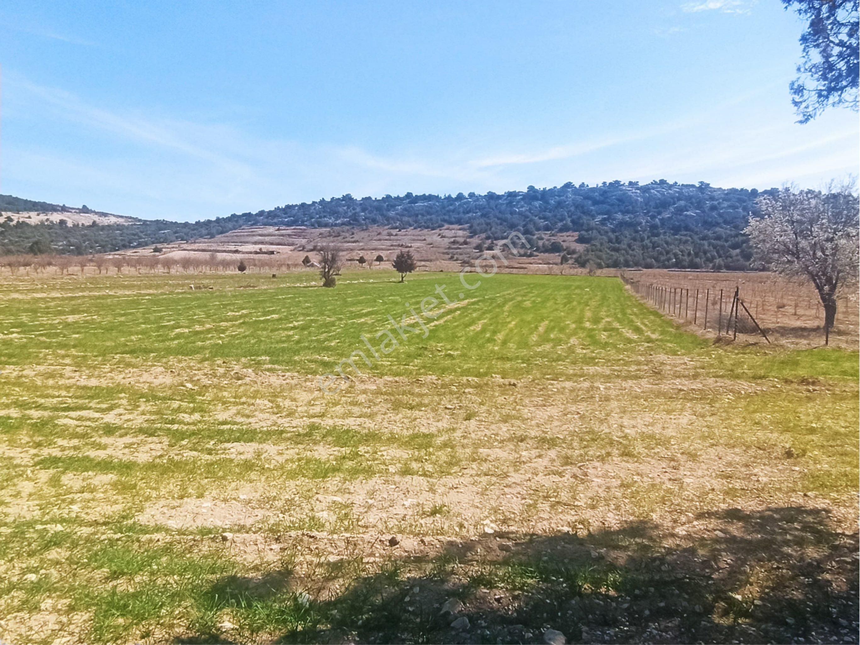 Sabak Mahallesinde 12.800 M2 Tarla