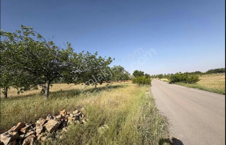 Sarısalkım - Şahinbey ' De Satılık Asfalta Sıfır Yatırımlık Mükemmel Arazi.