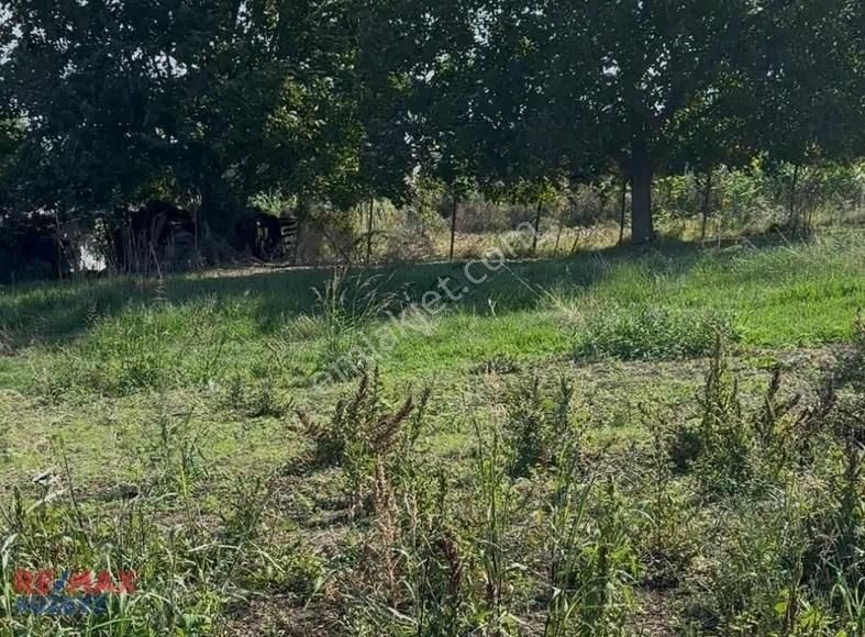 Çatalçamda Deniz Manzaralı Arsa
