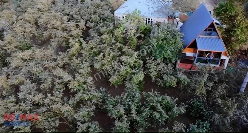 Engiz 19mayıs Düzköy De 12 Dönüm Fındık Tarlası Ve Bungalov Ev
