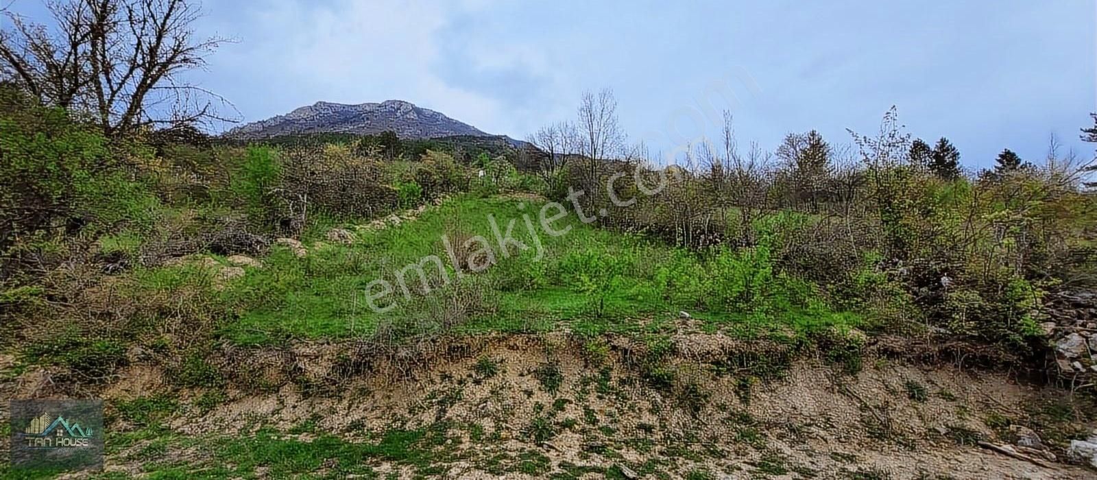 Tan Emlaktan Bulak Köyünde Satılık Bağ Yerleri