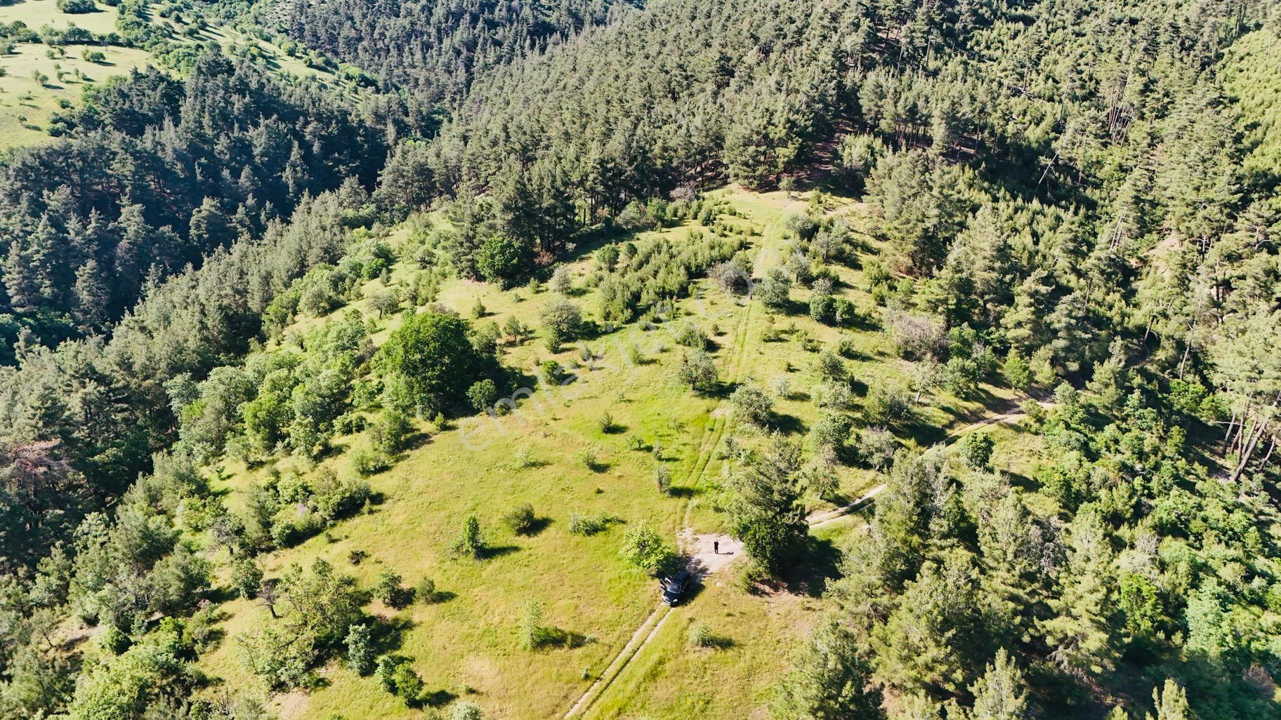 **balıkesir Sındırgı Düvertepe’de 22.237 M2 Fırsat