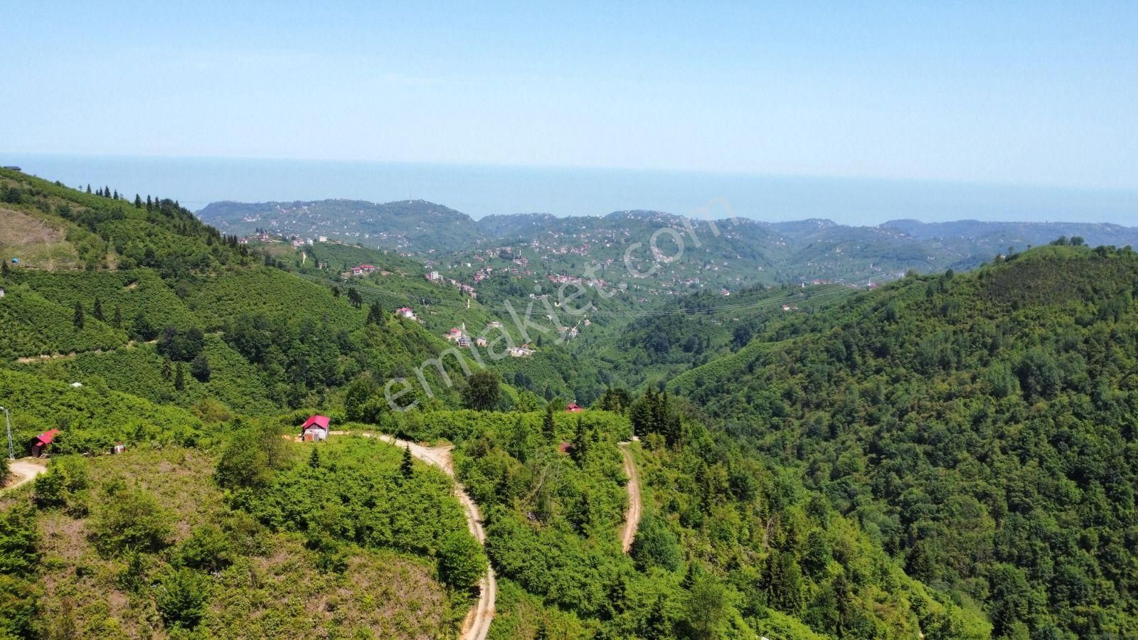Trabzon Arsin'de Satılık Arazi