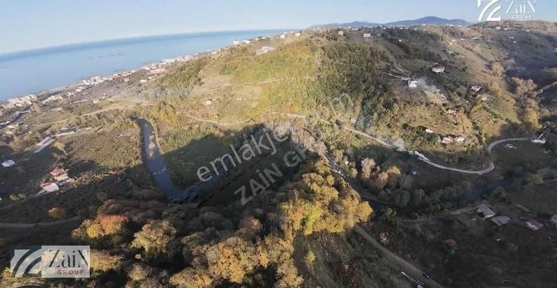 Zain Group'tan Dere Kenarında Parselli Arsa