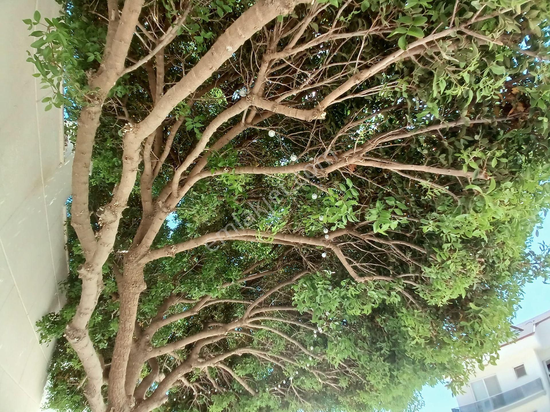 Merkezi Konumlu Fırsat Daire - Görsel 29