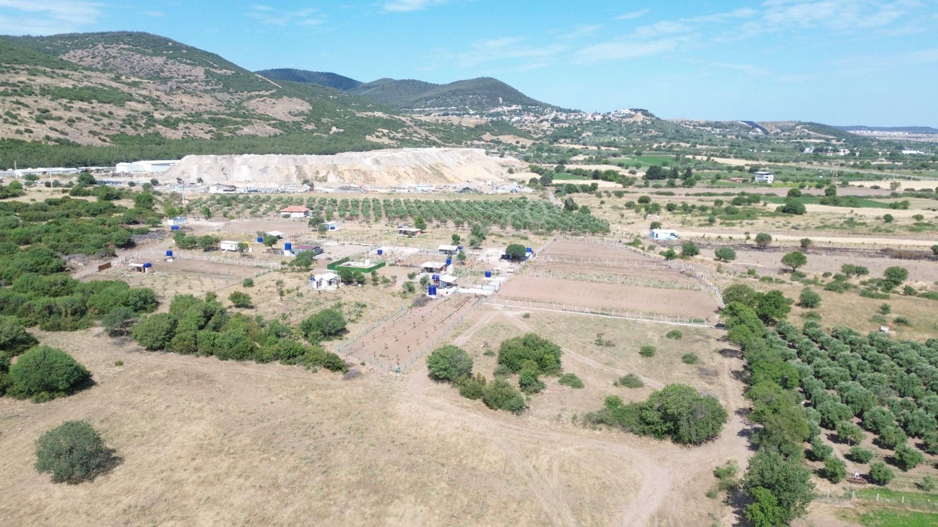 Çıtakta 1283m2 İçerisine Konteyner Vb Konulabilen Tarla