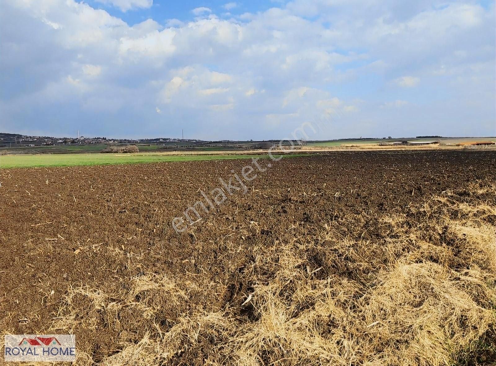 Elektrik Ve Suya Yakın Köye 1,5 Km. Mesafede Yatırımlık Cazip - Görsel 2