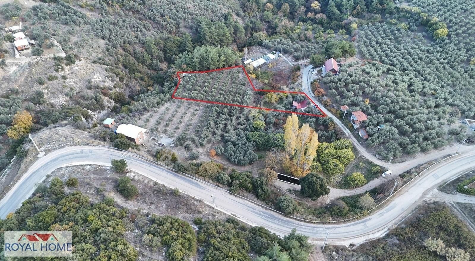 Çepni'de Deniz Manzaralı - Elektrik Ve Şebeke Suyu - Kapı Nolu