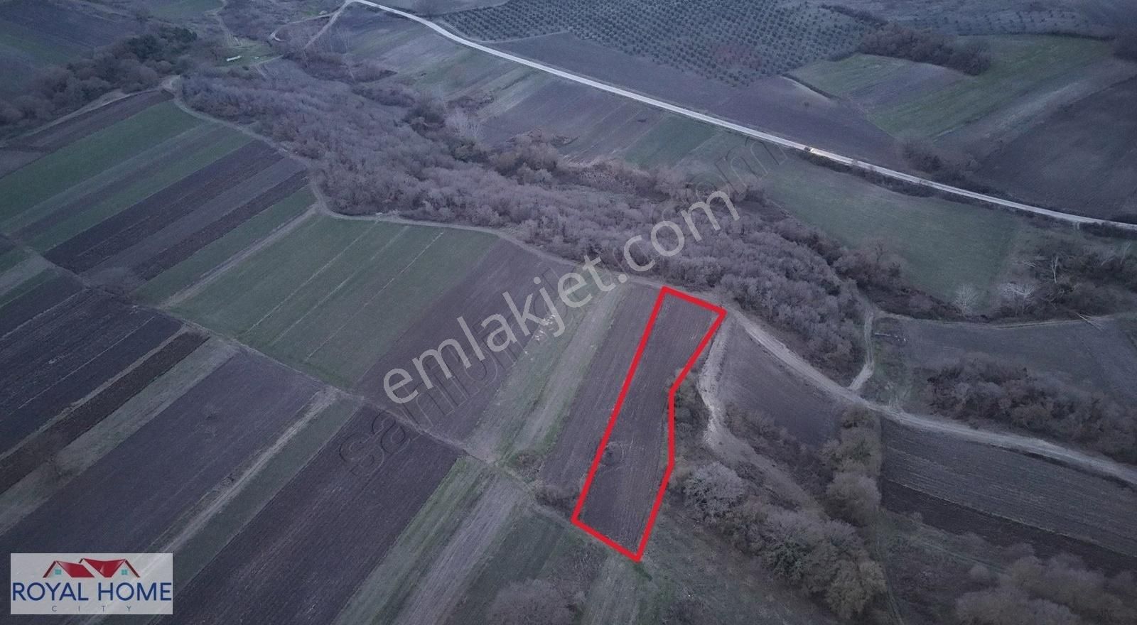 Royal Home Cıty Den Mudanya Çayönü Köyünde 2.381 M2 Yatırımlık - Görsel 8