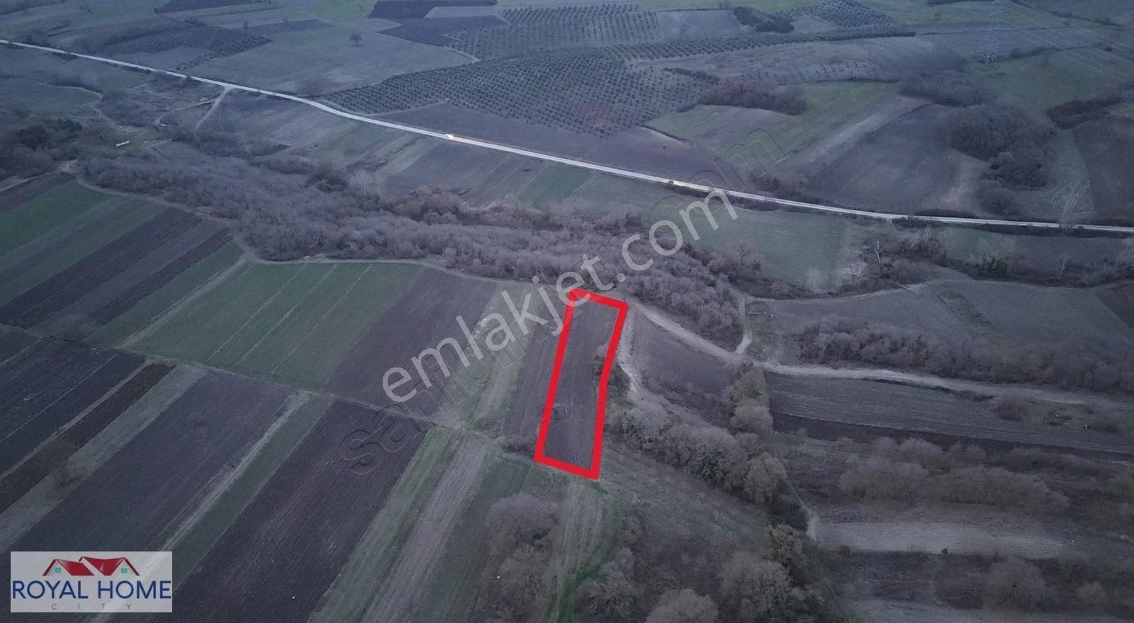 Royal Home Cıty Den Mudanya Çayönü Köyünde 2.381 M2 Yatırımlık - Görsel 5