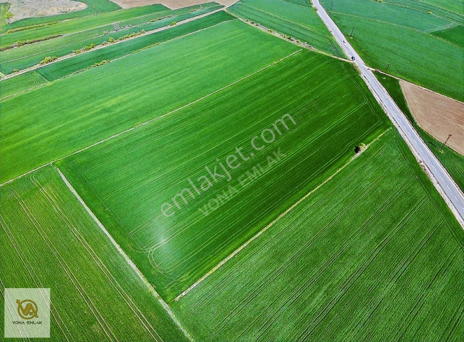 Tekirdağ Saray Edirköy 31.186 M² Müstakil Tapulu Tarla