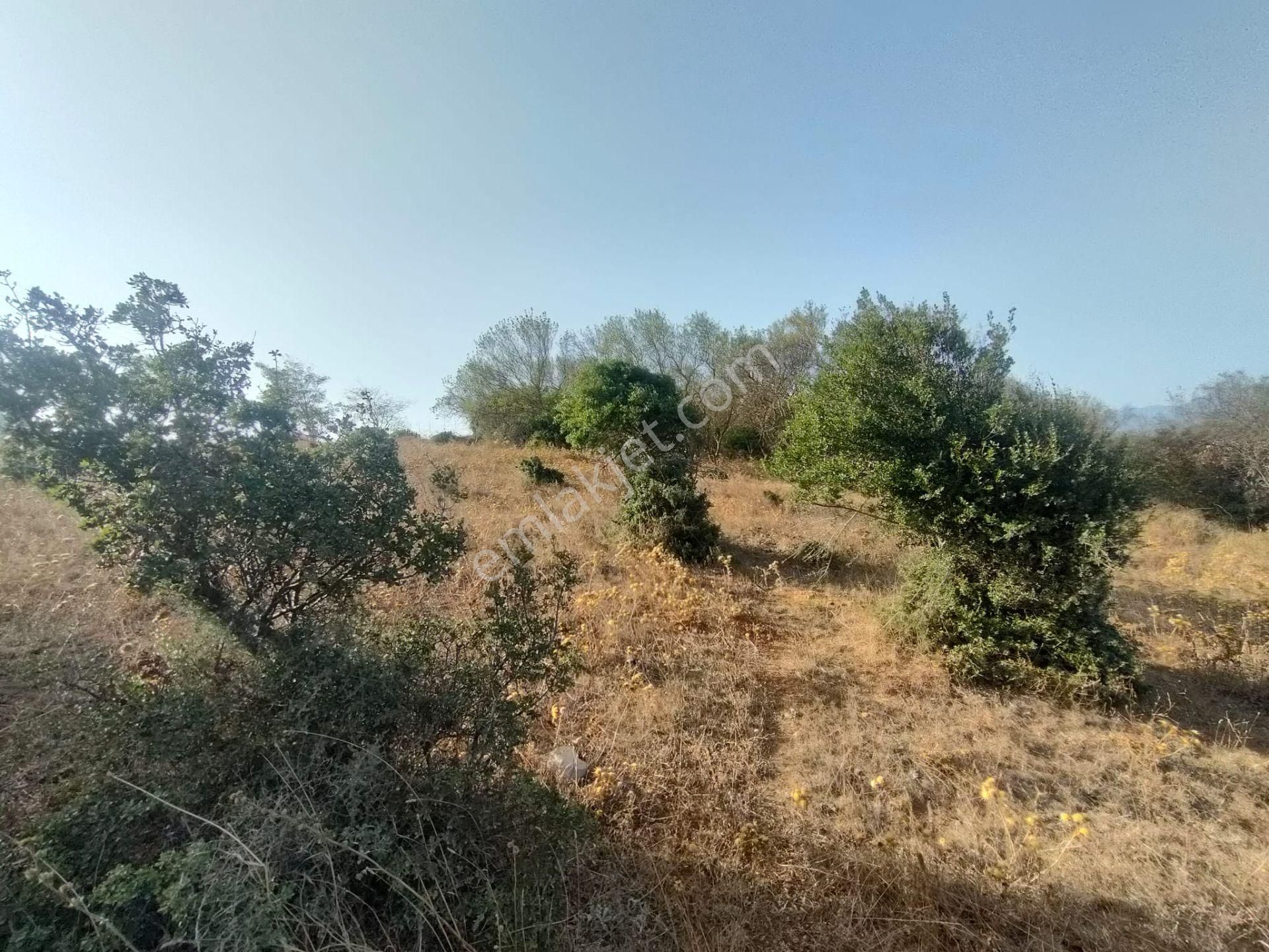 🟨⬛lıon Emlak'tan Edincik Mahallesinde Ana Caddeye Çok Yakın 2.219m² Satılık Tarla⬛🟨 - Görsel 17