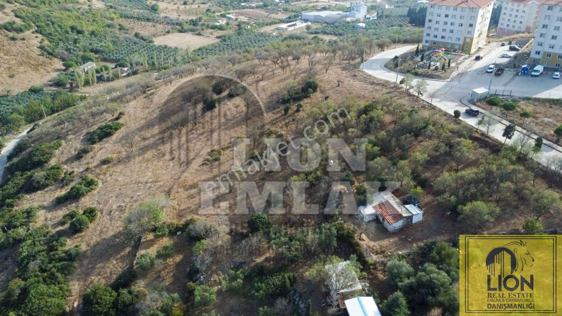 🟨⬛lıon Emlak'tan Edincik Mahallesinde Ana Caddeye Çok Yakın 2.219m² Satılık Tarla⬛🟨 - Görsel 3
