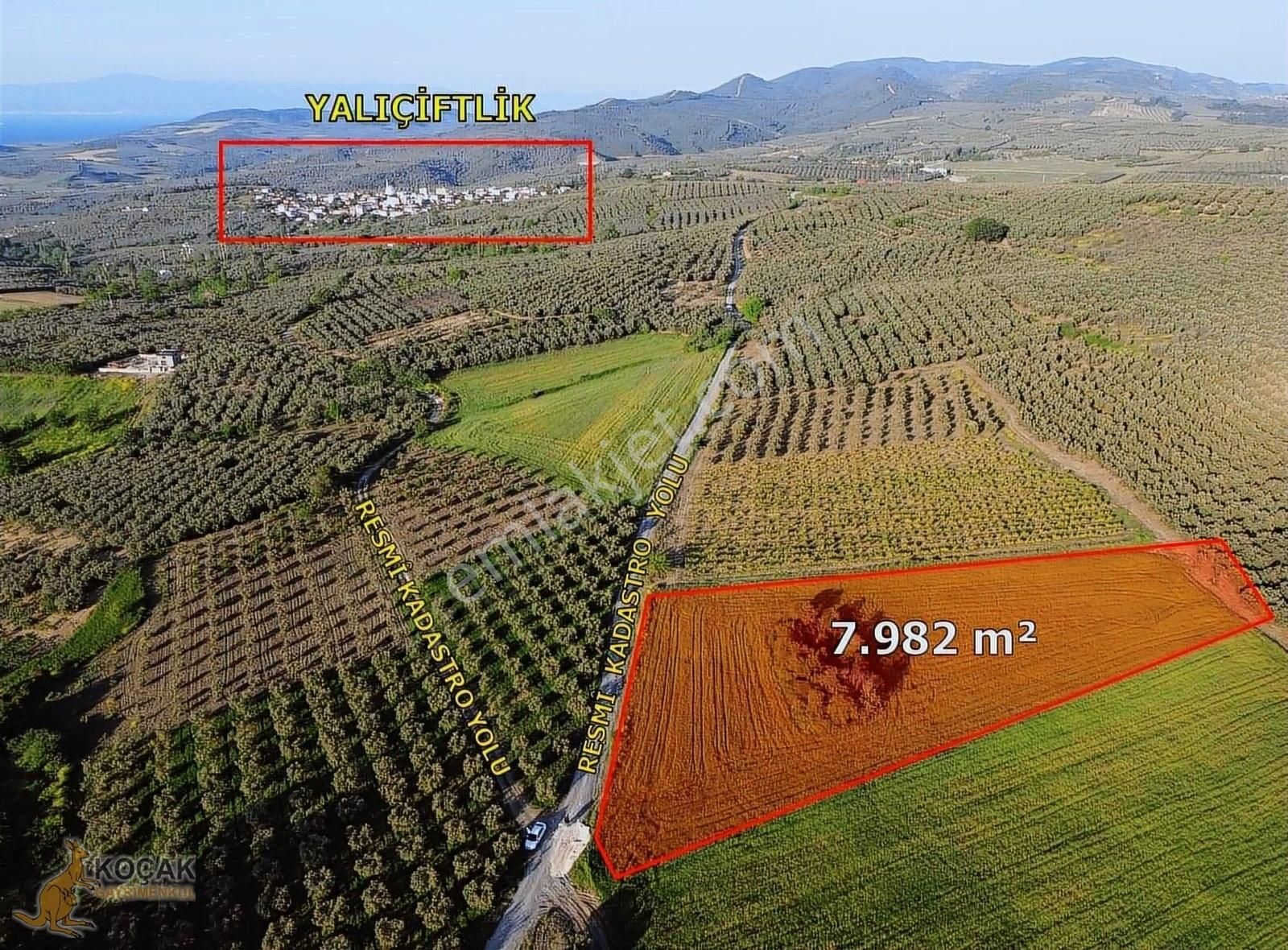 Koçak Group'tan Yalıçiftlik'te Yola Cephe Yatırımlık Tarla