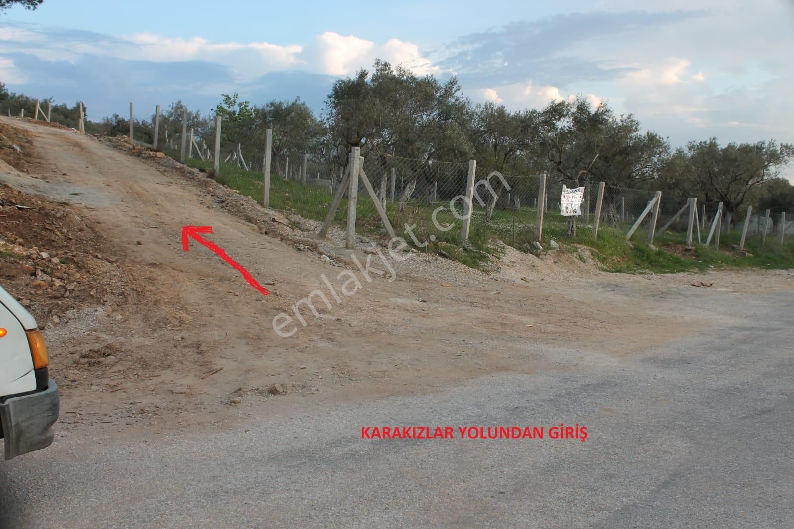 Mimoza'dan 13 Dönüm Tek Tapu Zeytinlik