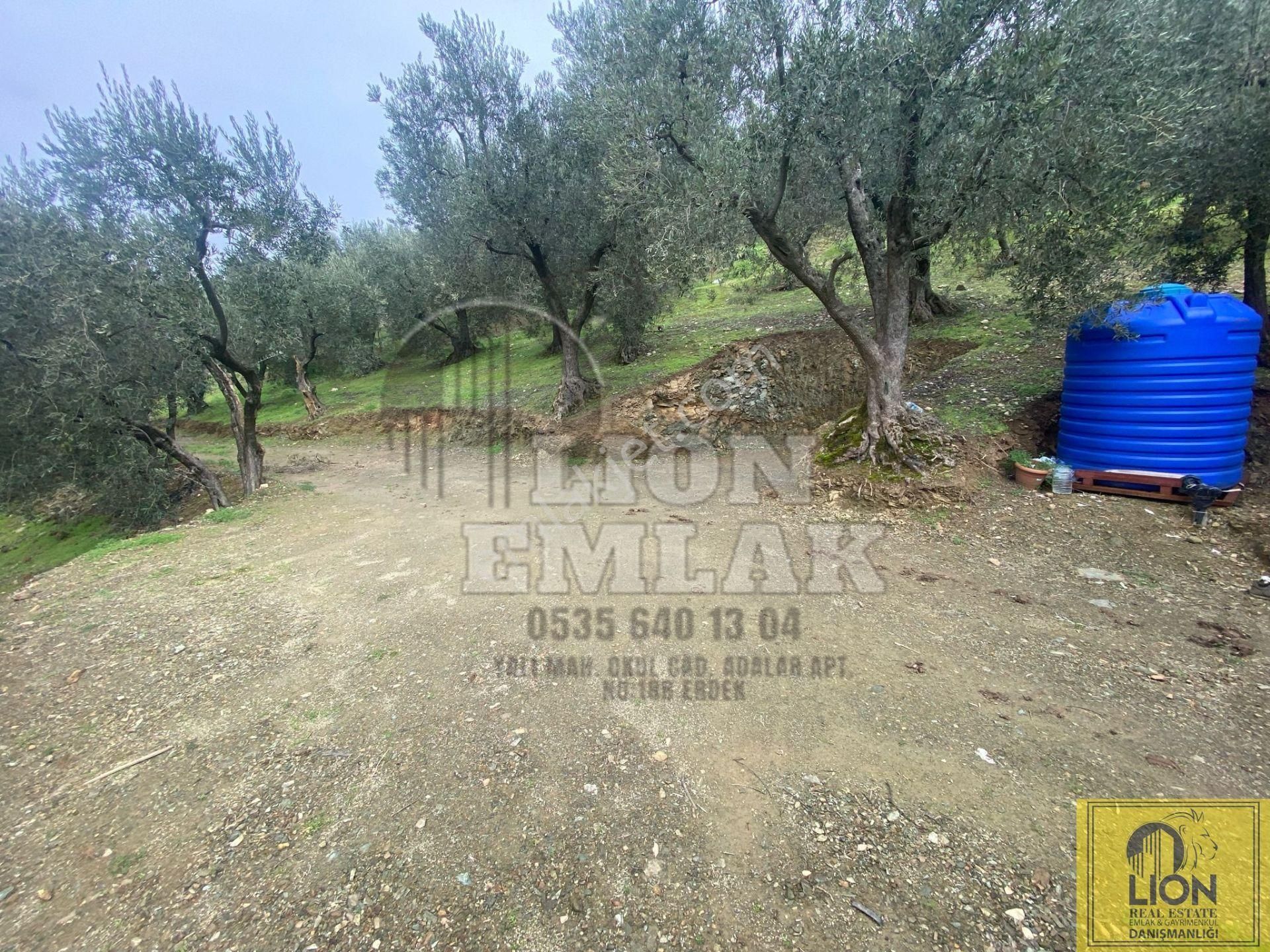 🟨⬛lıon Emlak'tan Edincik'de İçerisinde 1+1 Ev Bulunan 1.259m² Satılık Zeytinlik⬛🟨 - Görsel 15