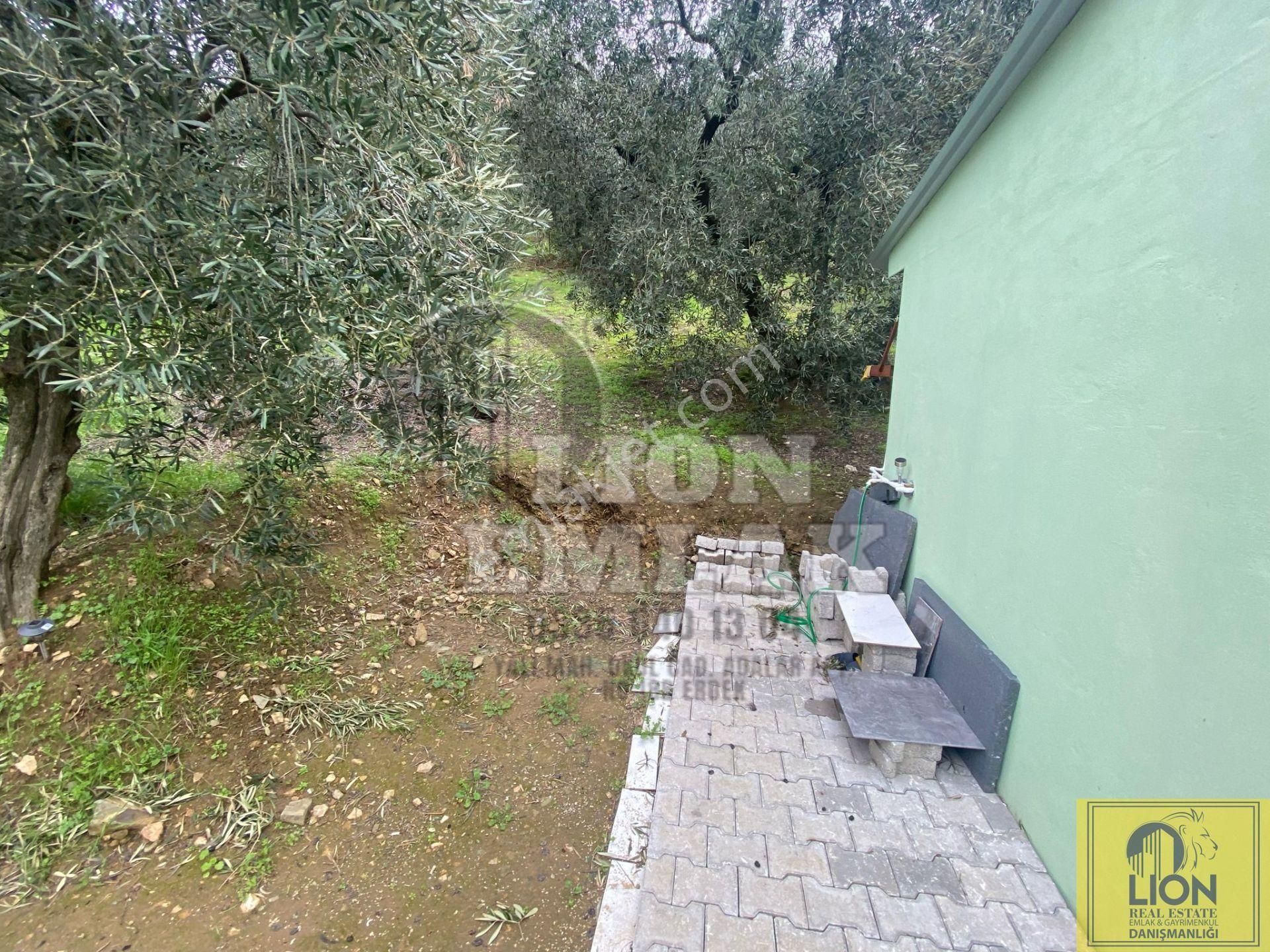 🟨⬛lıon Emlak'tan Edincik'de İçerisinde 1+1 Ev Bulunan 1.259m² Satılık Zeytinlik⬛🟨 - Görsel 30