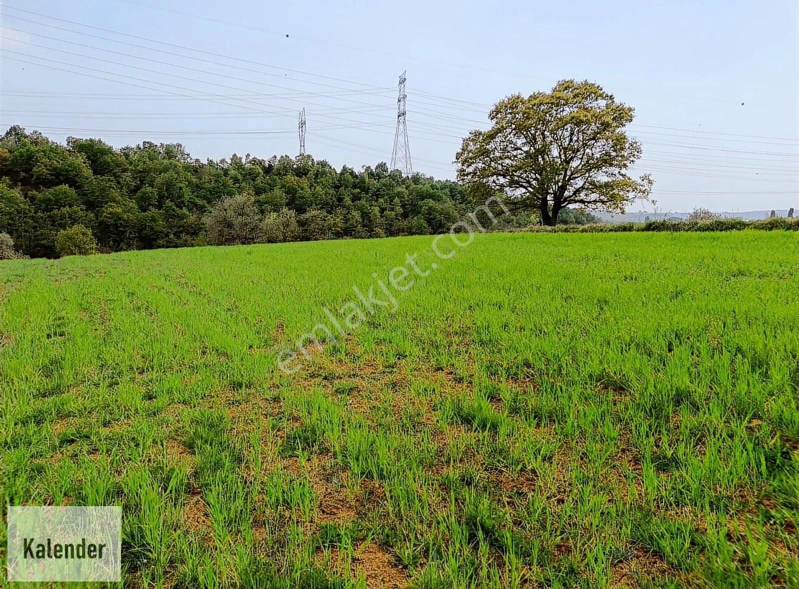 Gebze Denizli Köyünde Net 200 M2 Konut Alanında Hisseli Arsa