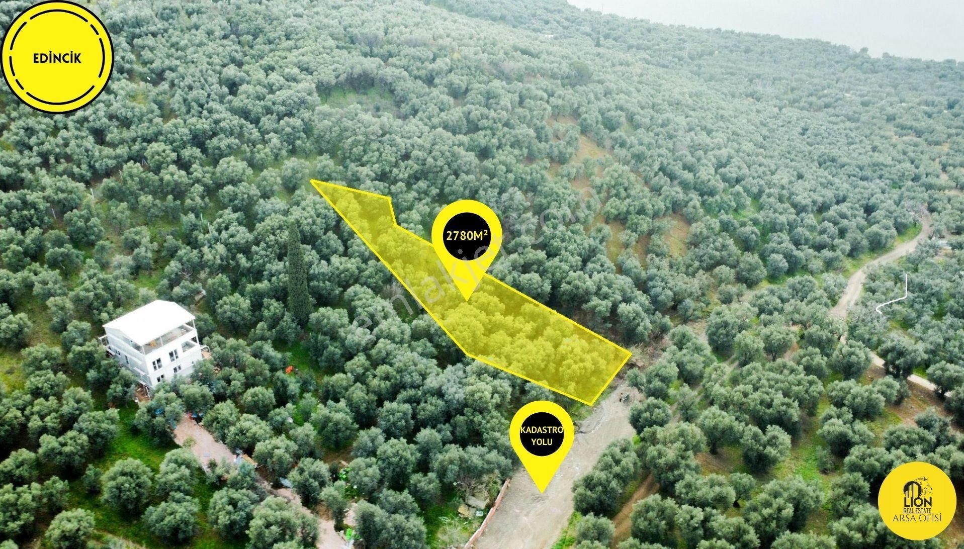 Edincik Mahallesinde Halk Plajına Yakın 2.780m² Satılık Zeytinlik