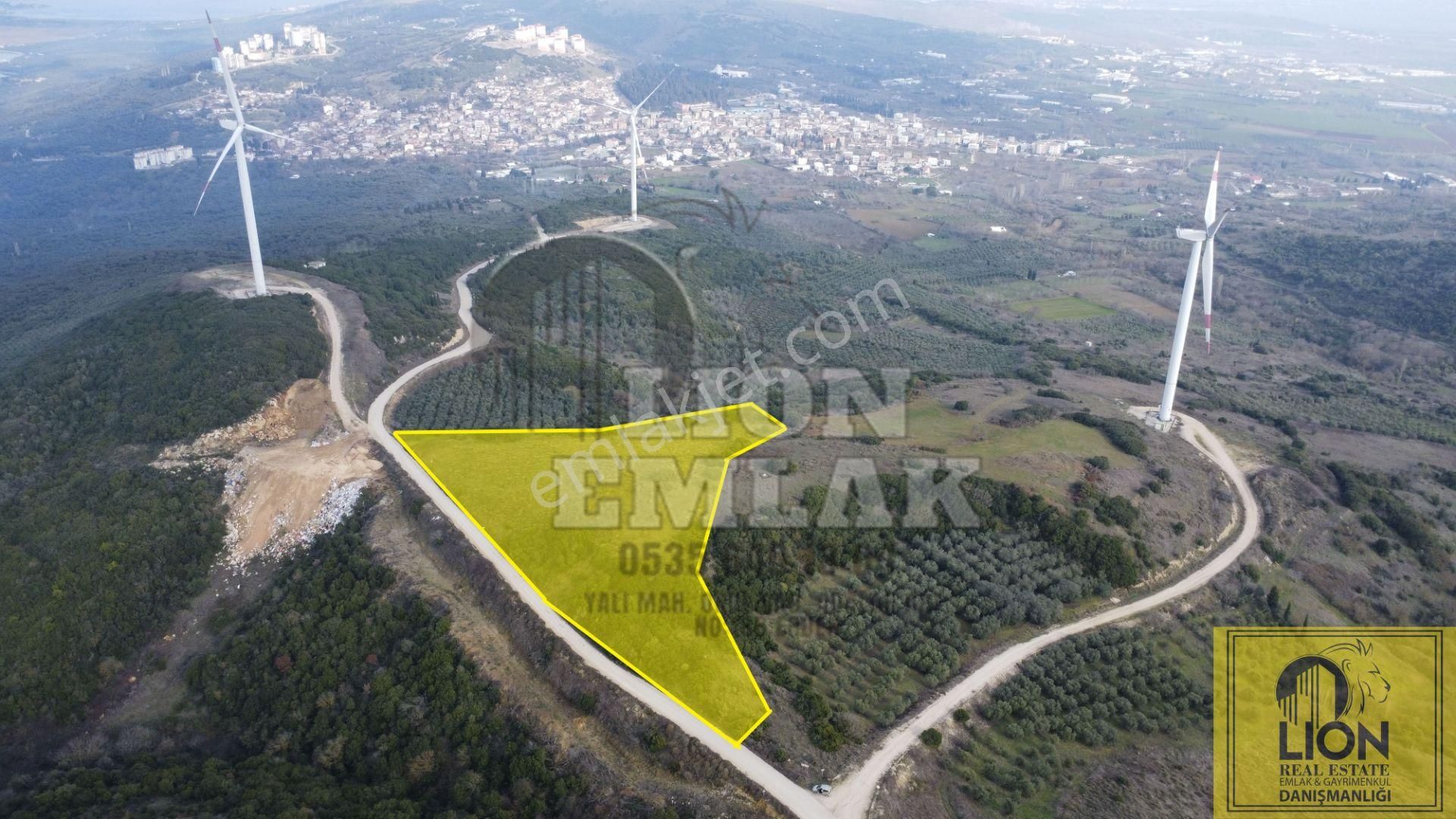 Edincik'de Doğa İle İç İçe,köye Yakın 6.250m² Satılık Hisseli Tarla