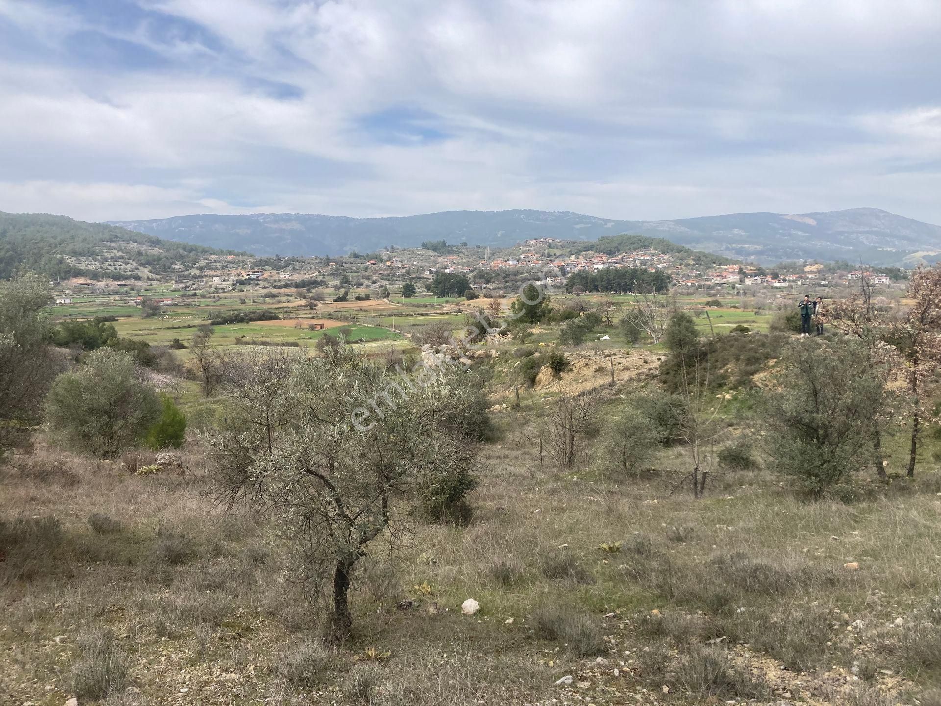 Muğla Menteşe Denizova'da 2232 M² Satılık Tarla