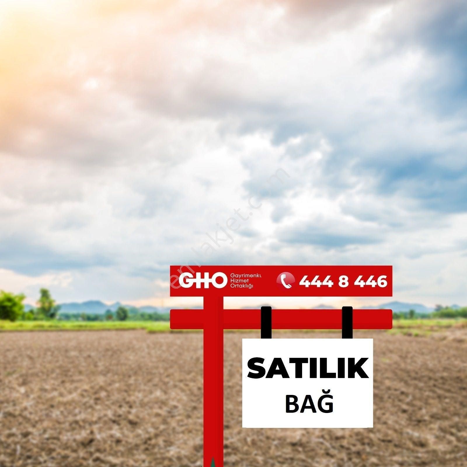 Gho Adalılar'dan Denizli Çal'da 2.515 M2 Satılık Bağ