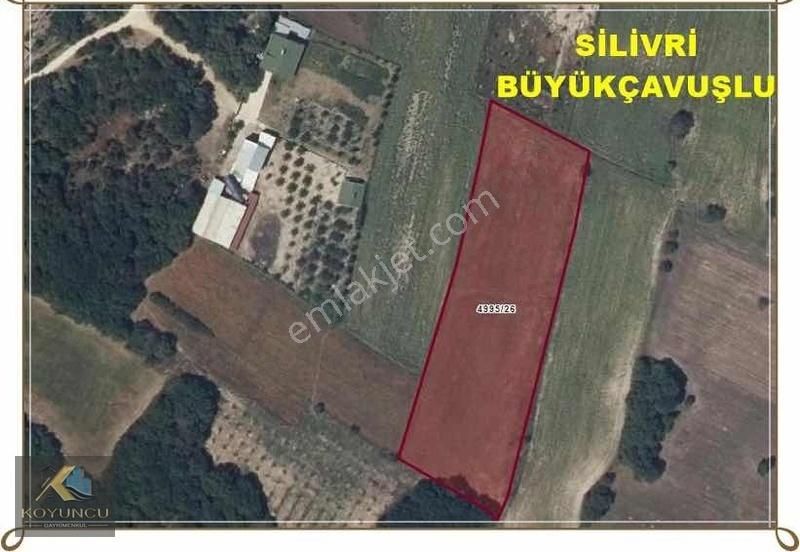 Silivri Büyükçavuşluda 4340m2