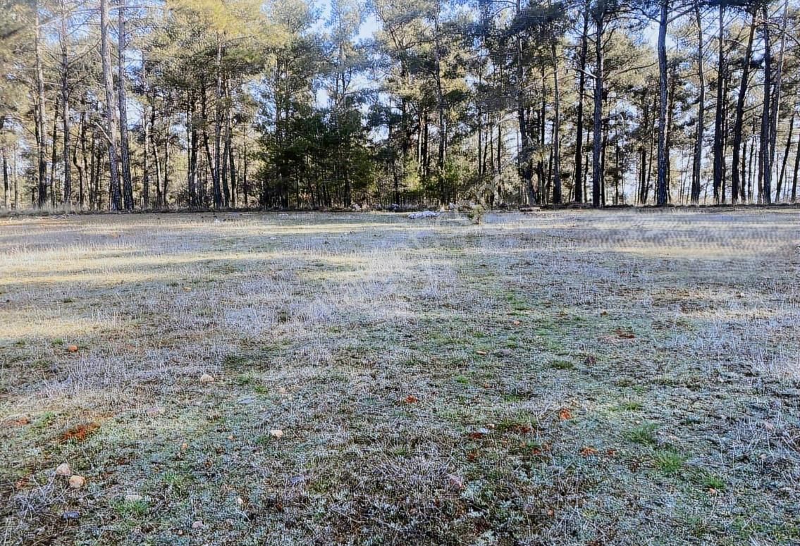 Muğla Menteşe Kuyucak 'ta 1430 M² Satılık Tarla