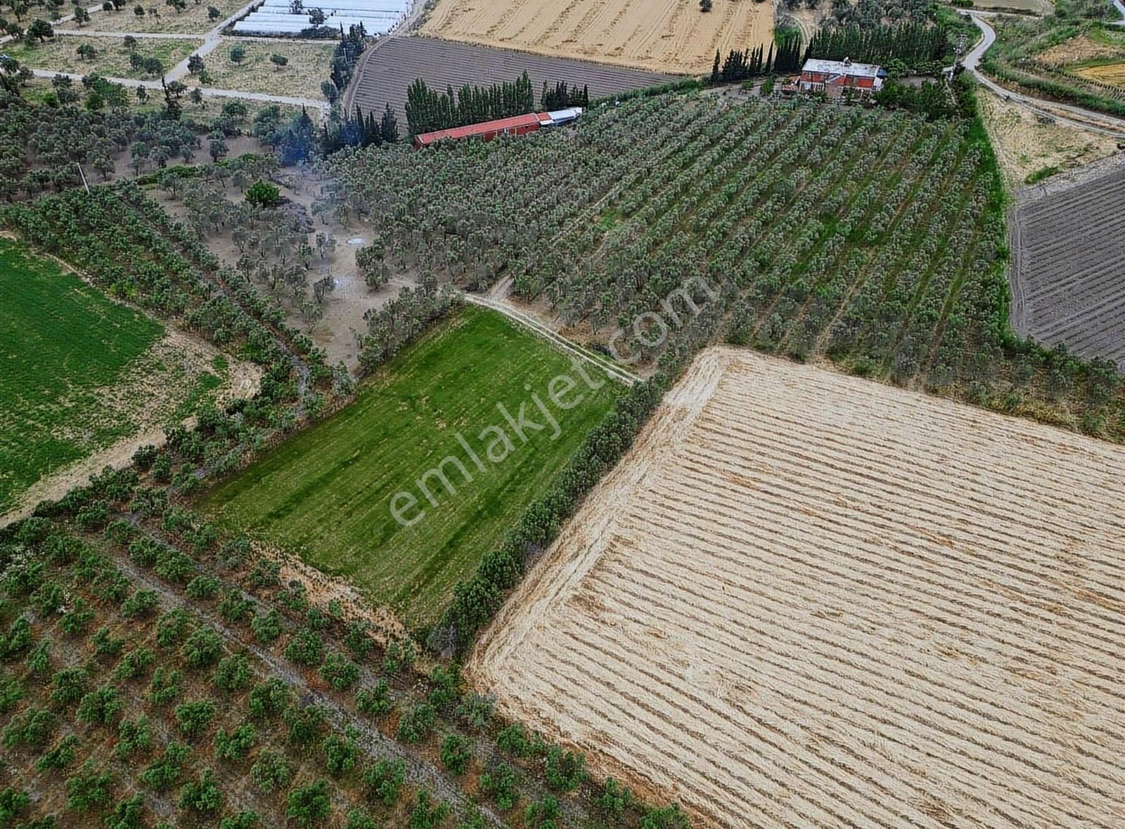 Arya'dan Edremit Çıkrıkçı'da 5000 M2 Tarla