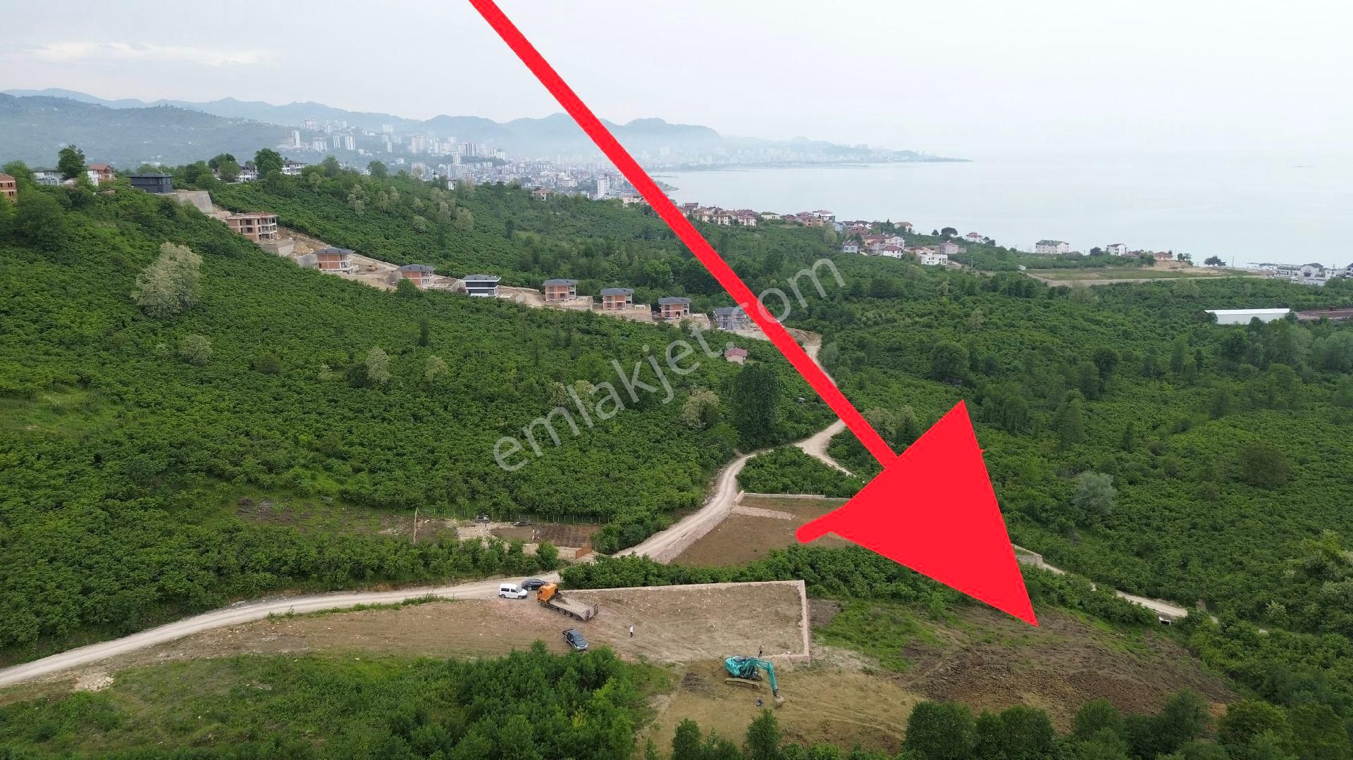 Z Grup Fatsa Yenipazar Mah. Satılık 2060 M2 3 Adet Vila İmarlı Arsa