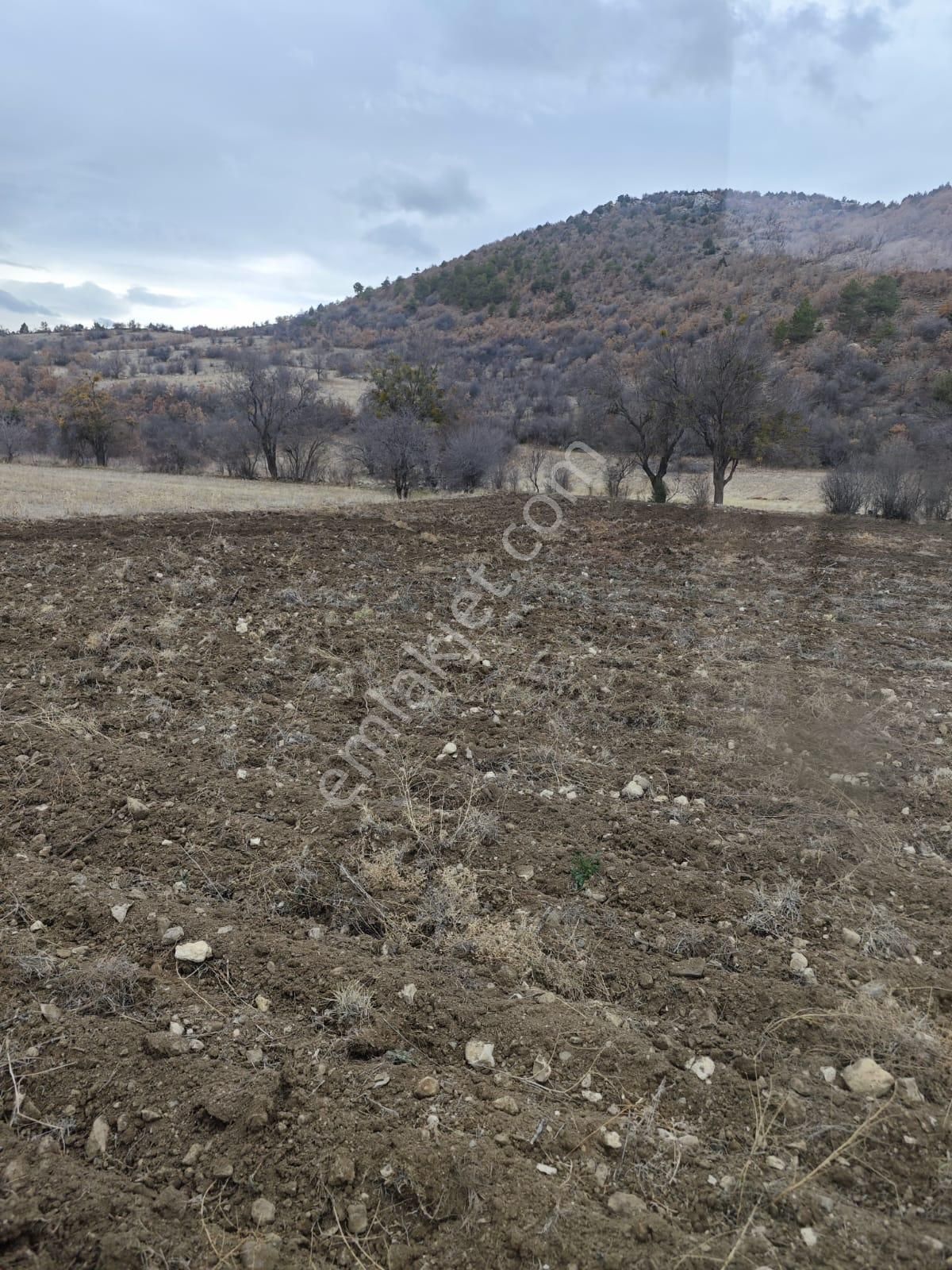 Yatırımlık Arsa