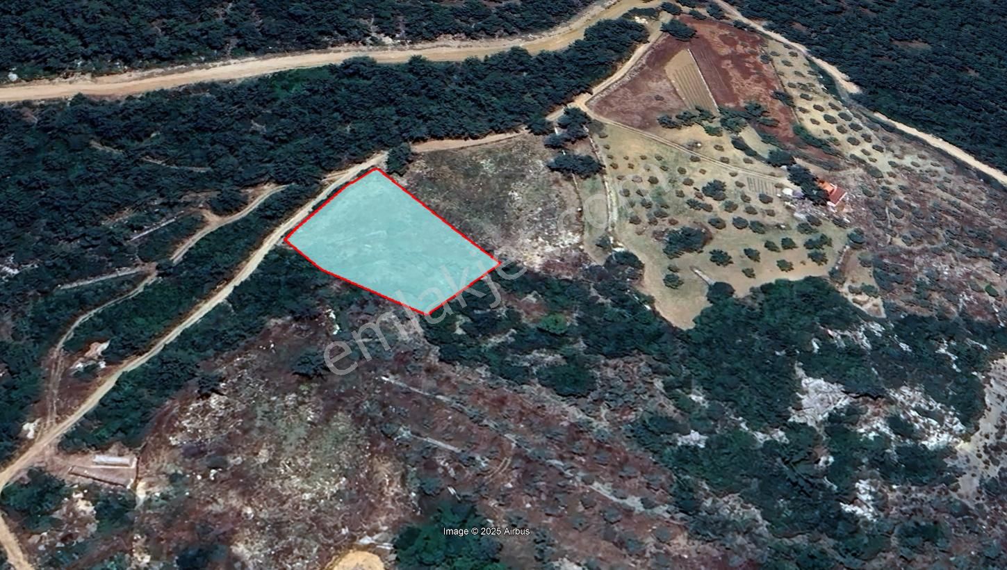 Muğla Ula Kızılağaç Mahallesinde 2073 M2 Satılık Tarla