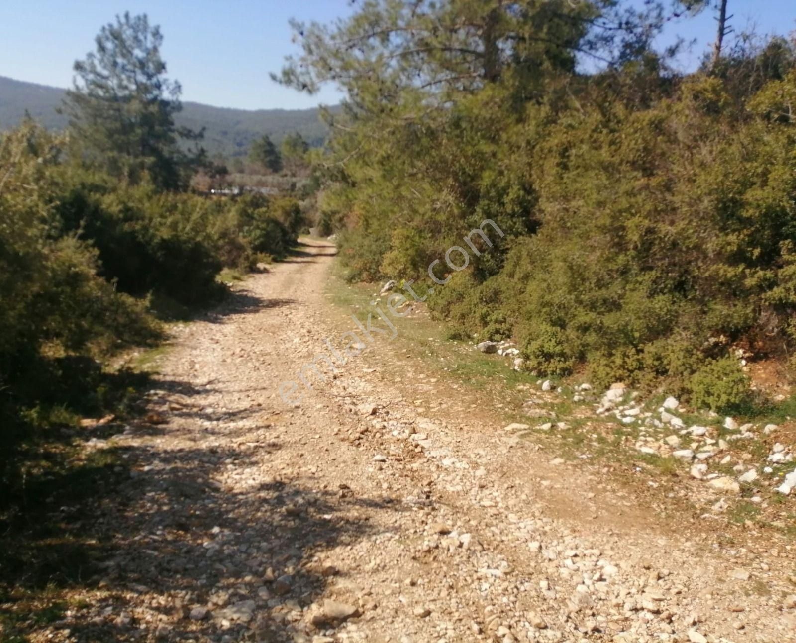 Muğla Ula Kızılağaç Mahallesinde 2073 M2 Satılık Tarla