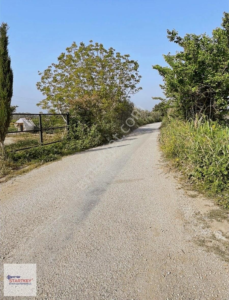 Startkey Stardan 9. Mıntıkada 10.000 M2 Üzüm Bağı