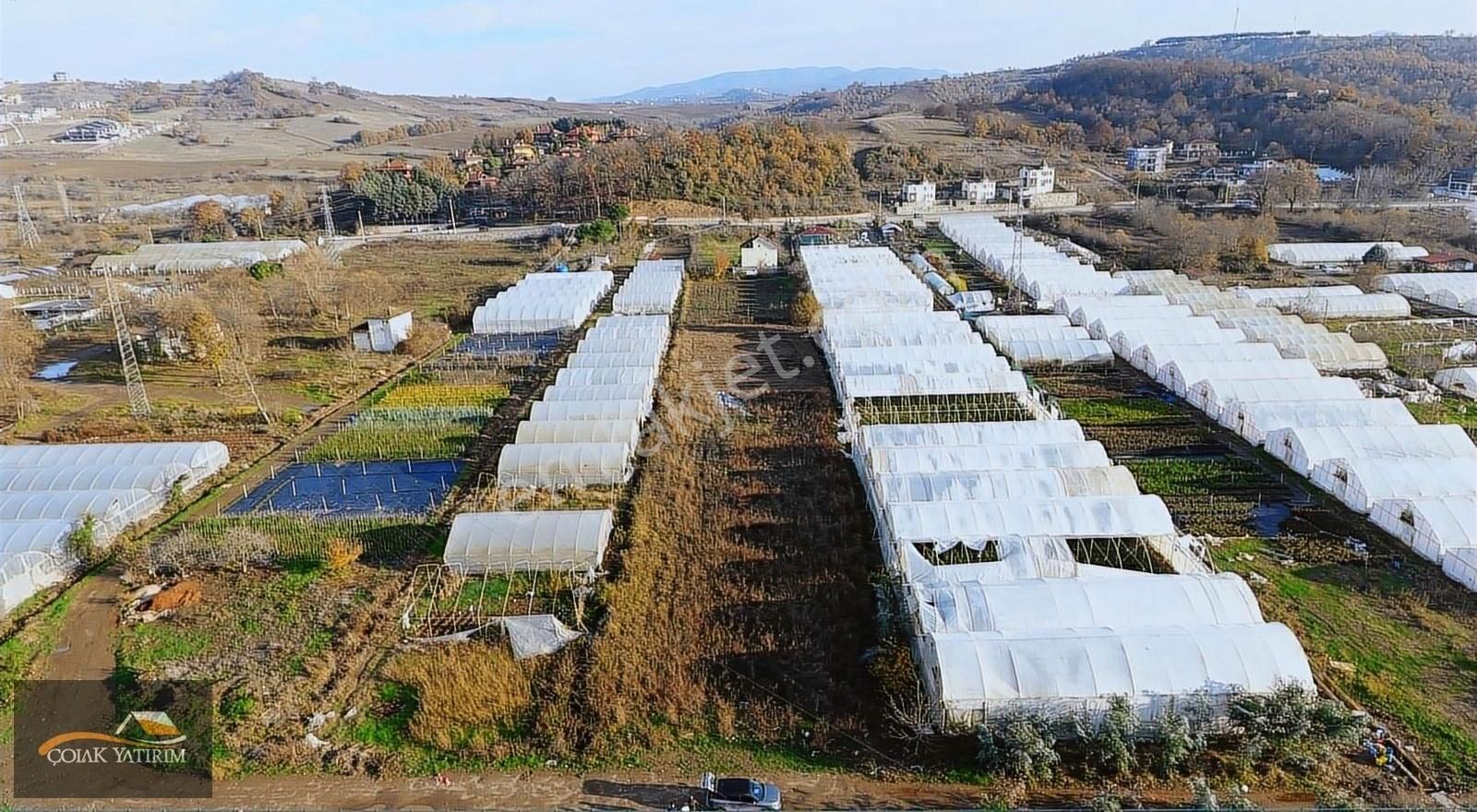 Yalova Merkez Kadıköy'de Satılık 3.837 M2 Muhteşem Tarla