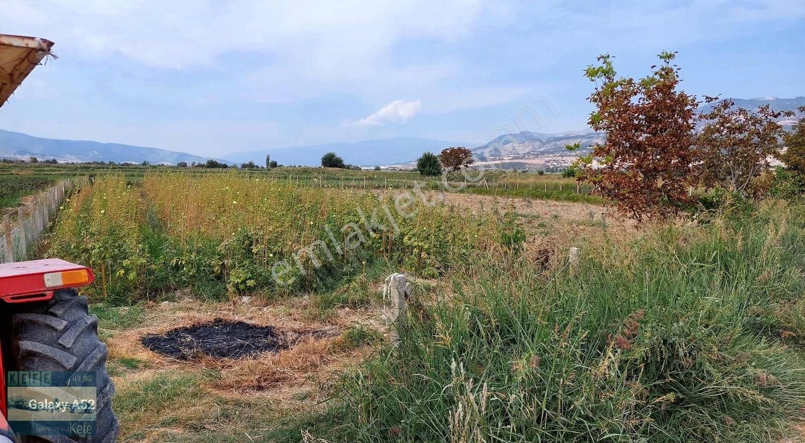 Sarayköy Hasköy Mevki Yolu Suyu Mevcut Zeytinlik - Görsel 11