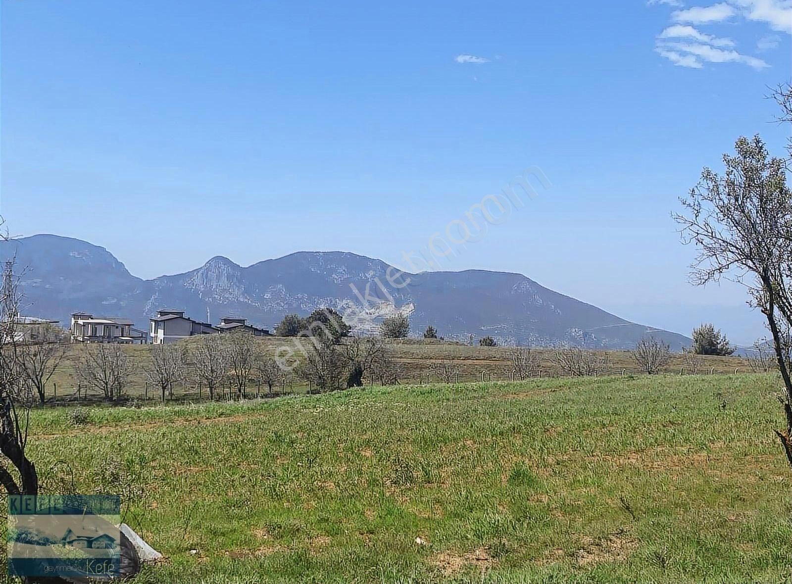 Cankurtaran Milli Park Yolu Ana Yol Üzeri Konumu Ensalsiz Tarla - Görsel 6
