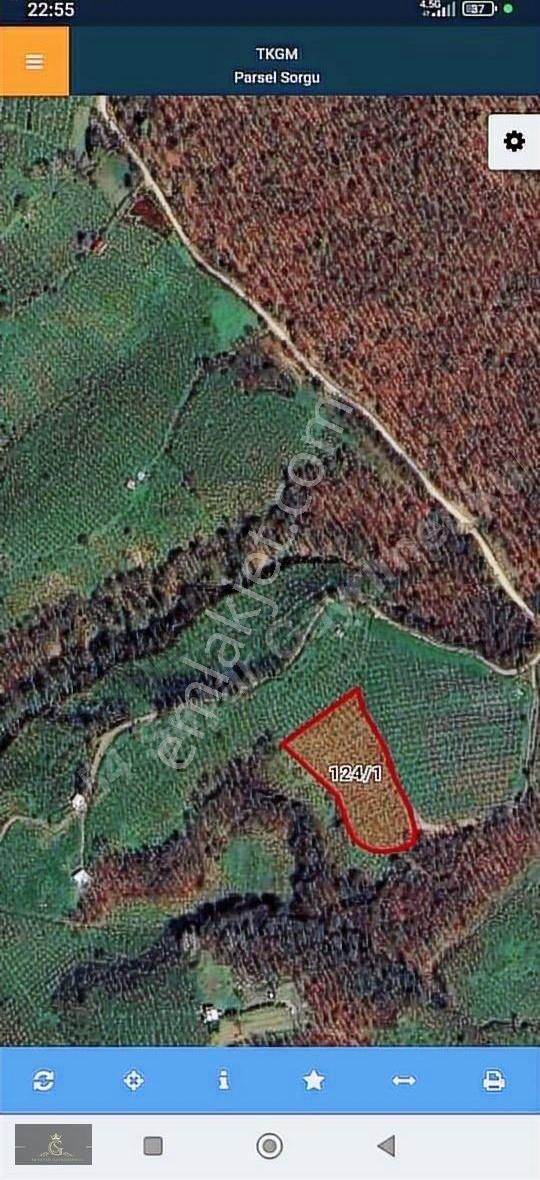 Erenler Yazılı Mah 8200m² Fındık Bahçesi