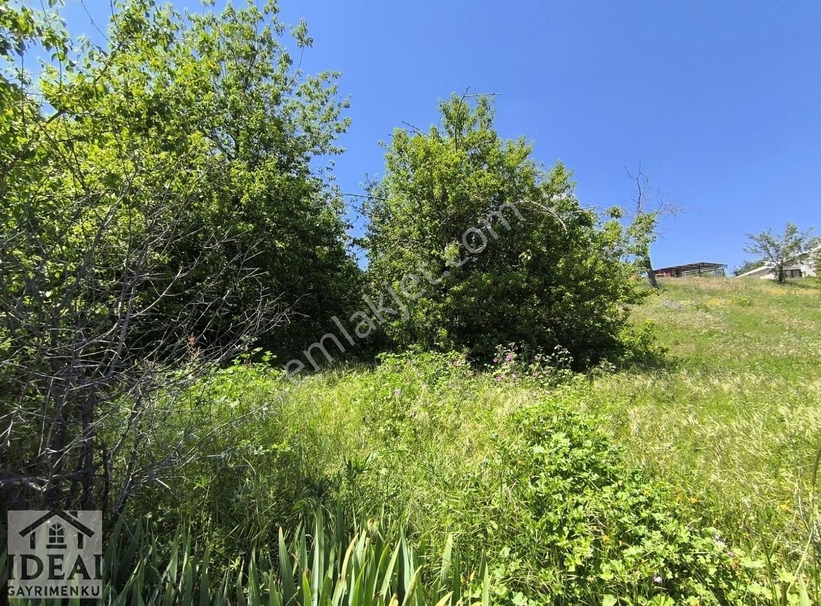 Manisa Ayvacık'ta 2.000 M2 Evlere Sınır Tarla 1.850.000tl